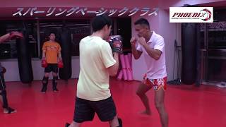 ムービーを見る